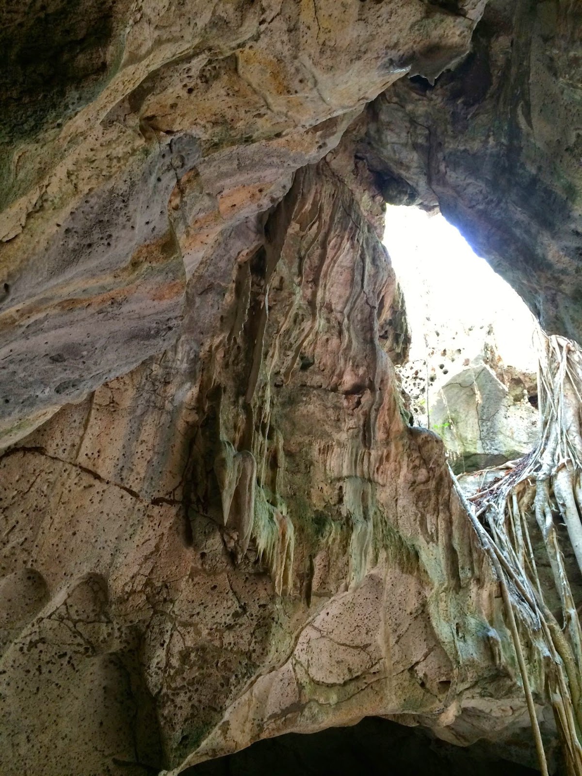 Green Grotto Caves Runaway Bay From Falmouth Cruise Port