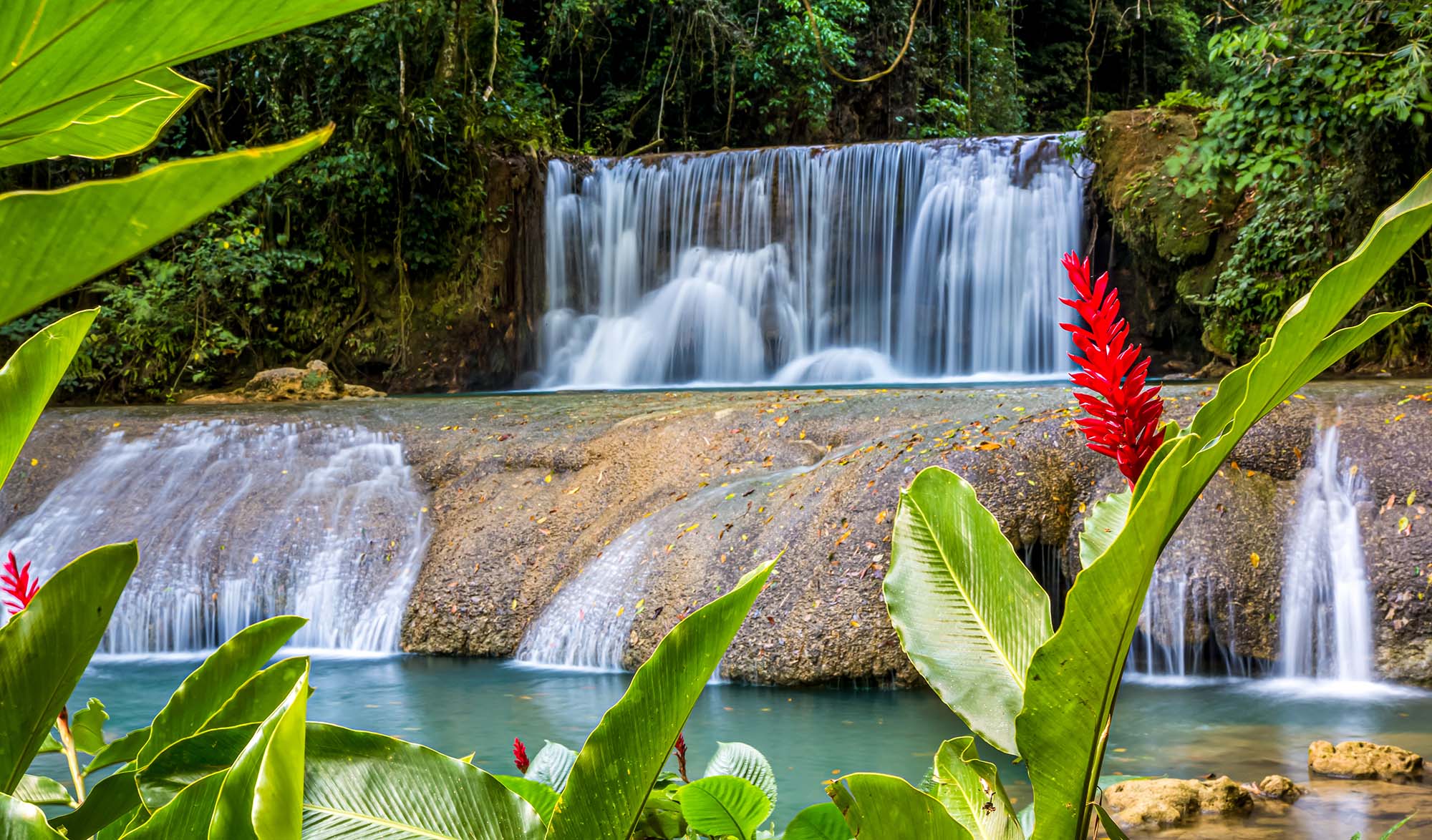 Mayfield Falls Negril Mayfield Falls Negril