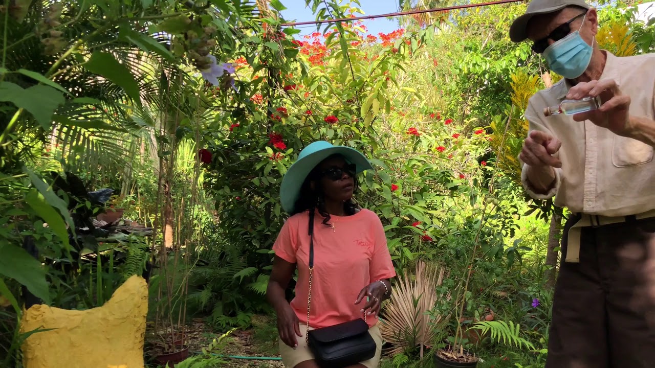 Barney’s Flower & Hummingbird Garden Negril