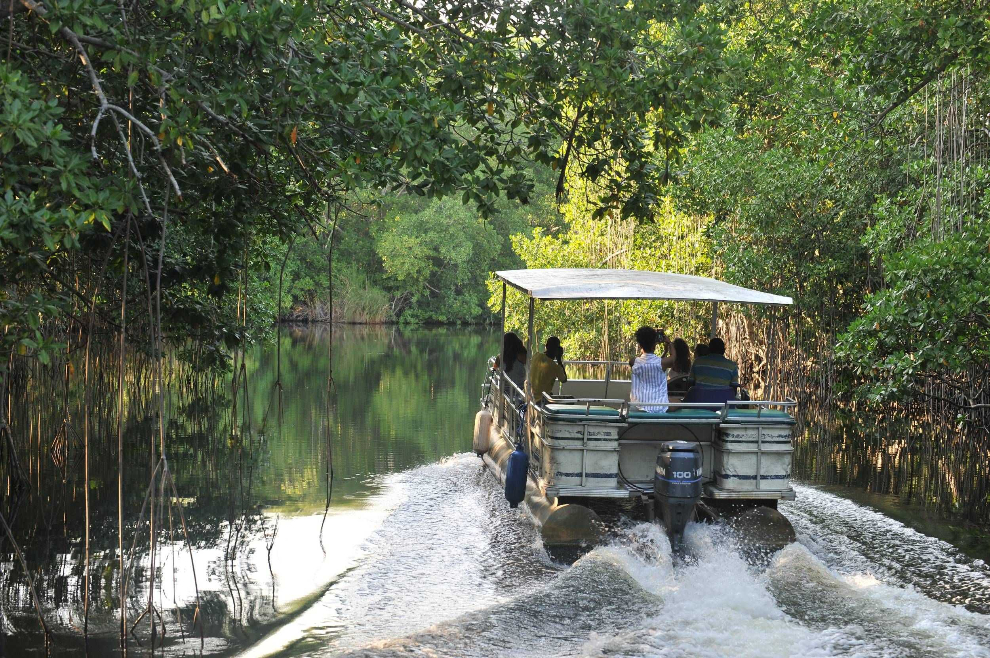 Black River Safari South Coast